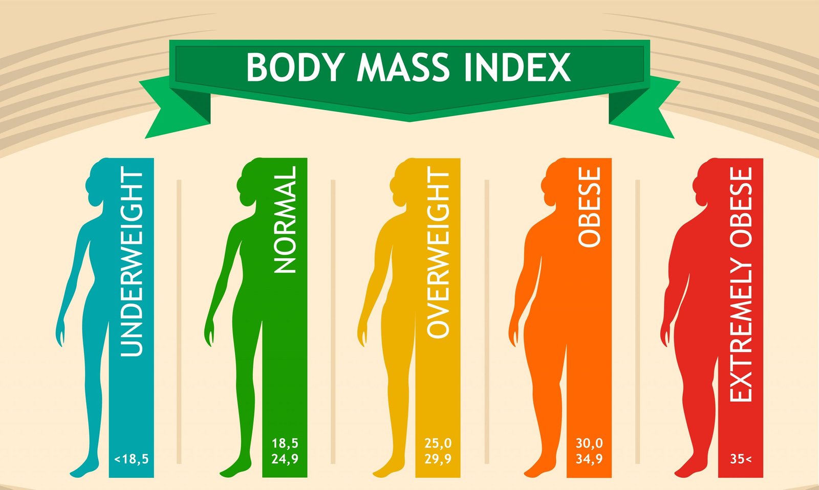 Explains BMI: A Simple Way to Check if Your Weight is on Track A Body Mass Index (BMI) chart showing different BMI categories represented by human silhouettes in varying colors and body shapes. From left to right: Underweight (