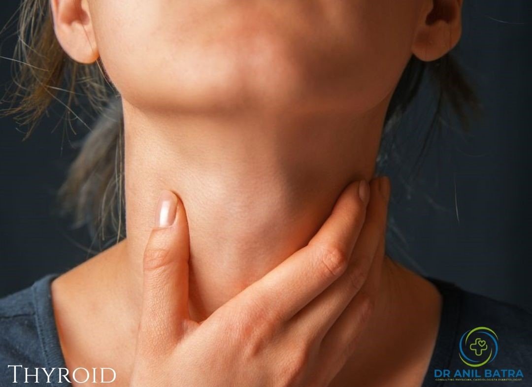 Thyroid Disease A medical illustration of the human thyroid gland, located in the neck, highlighting its position around the trachea.